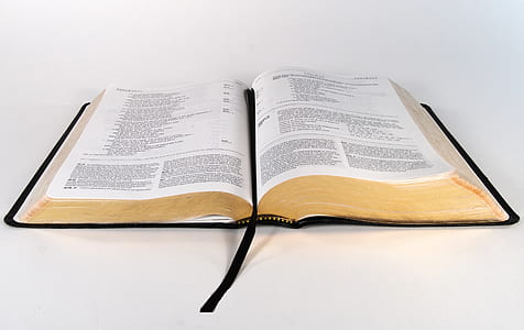 Close-up of Open Book thumbnail