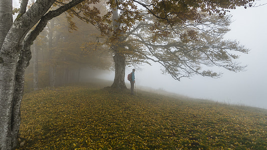 man standing beside tree thumbnail