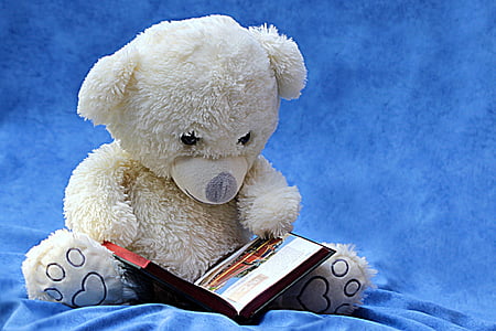 white bear plush toy holding open book thumbnail