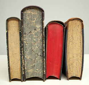 brown black hardbound covered books thumbnail