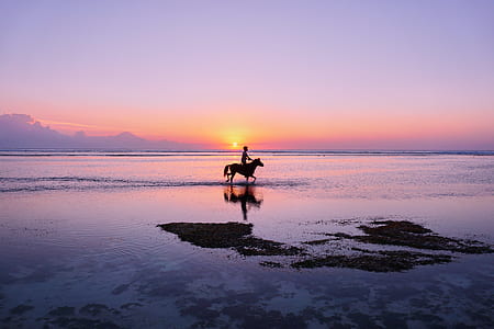 silhouette photo of person riding horse on body of water thumbnail