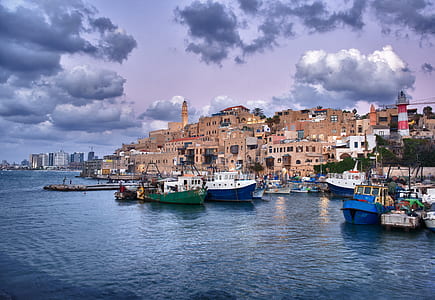 brown houses near boat thumbnail