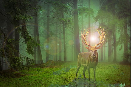 brown stag in forest illustration thumbnail