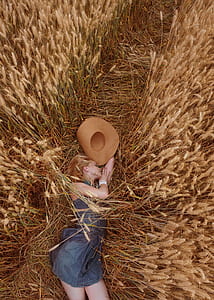 woman laydown near brown wheat field during daytime thumbnail