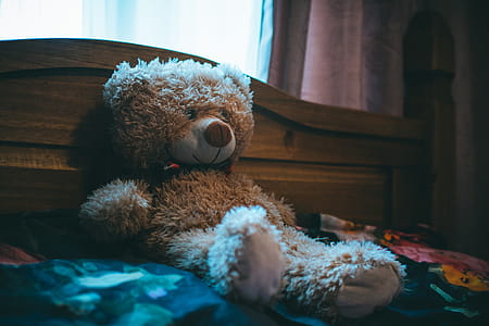 Brown Bear Leaning on Bed Headboard thumbnail