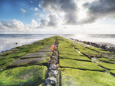 rock bridge coated green grass leading to body of water thumbnail