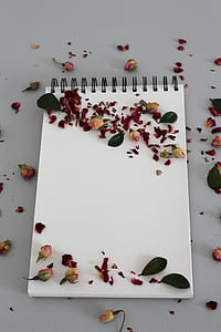 petals on notebook thumbnail