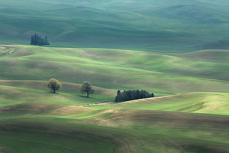 Photo of Green Grass Field thumbnail