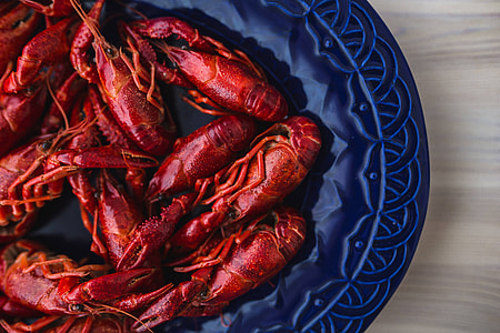 Crayfish on a blue plate thumbnail