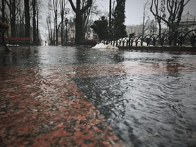 water, rain, lake, pond thumbnail