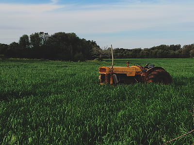 yellow tractor on farm thumbnail