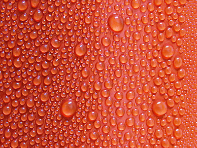 drops of water on orange surface during daytime thumbnail