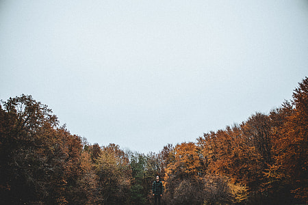 man standing near brown tree thumbnail