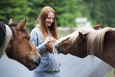 person, woman, girl, animal thumbnail