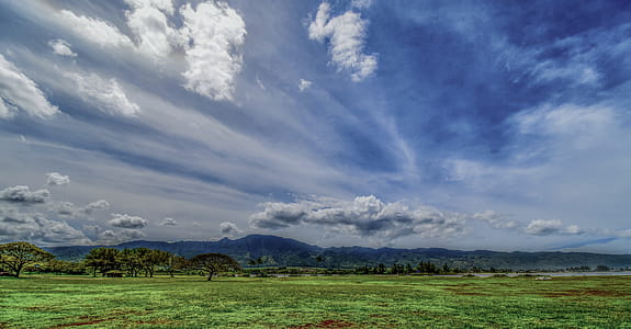 Green Grass Field Under White and Blue Sky at Daytime thumbnail