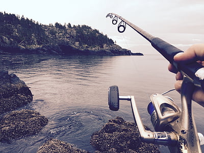 person holding gray and black fishing rod on body of water thumbnail