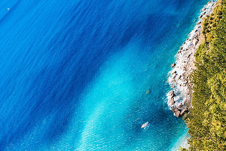 aerial photography of trees near seashore and blue body of water thumbnail