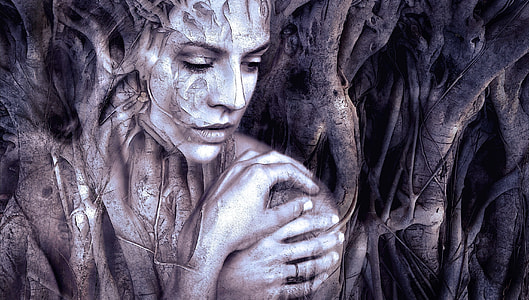 tree trunk with woman face art thumbnail