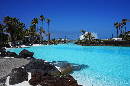 swimming pool between rock and palm tree under calming sky thumbnail