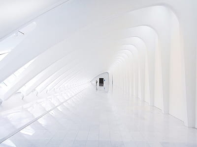 white stadium interior thumbnail