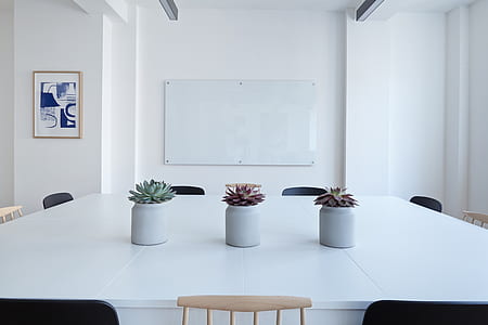 three succulent plants on white wooden table inside room thumbnail