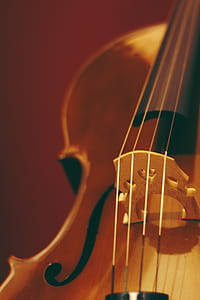 Focal Point Photo String of Violin thumbnail
