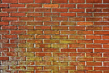 brick wall thumbnail