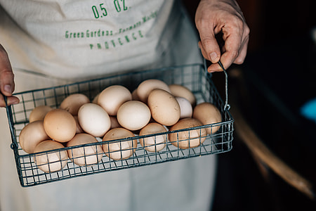 Wire mesh basket with fresh farm eggs thumbnail