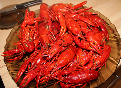 Crayfish, Chinese Crayfish thumbnail