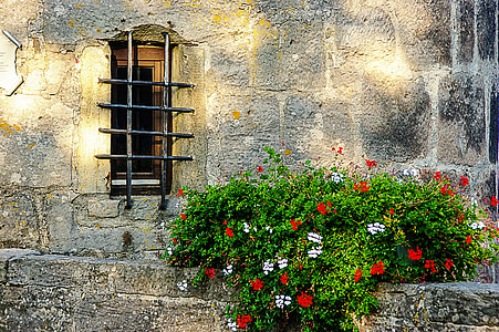 gray bricked wall beside green and red plants thumbnail