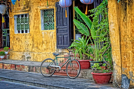 bicycle beside beige house with palnts thumbnail