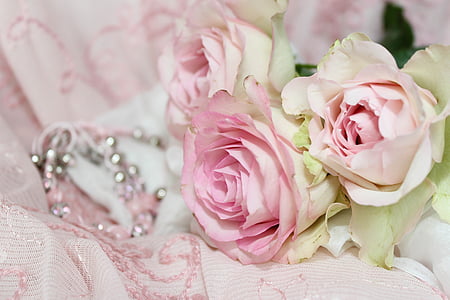 three pink roses on pink fabric surface thumbnail