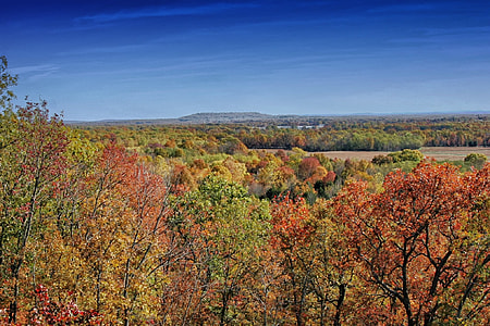 green trees under blue sky during daytime thumbnail