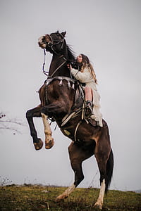 woman riding horse thumbnail