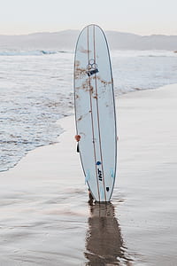 person holding white surfboard on seashore thumbnail