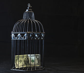 Black Steel Pet Cage With One Dollar thumbnail