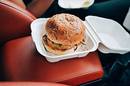 Hamburger on disposable plate thumbnail
