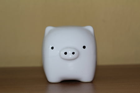 white ceramic pig figurine on brown wooden surface thumbnail