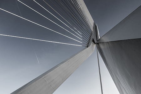 low-angle photo of building thumbnail