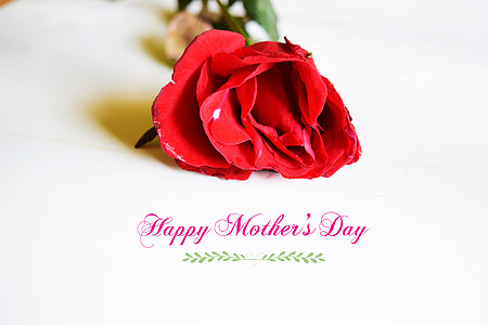 red rose with Happy Mother's Day text thumbnail