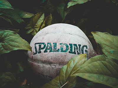 Photo of Old Spalding Ball thumbnail