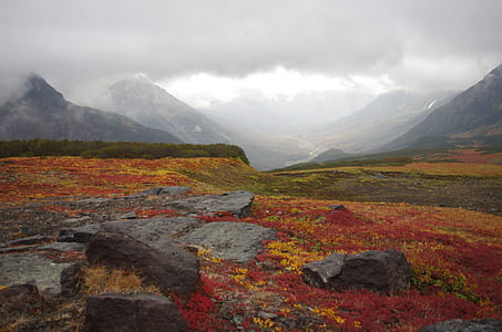 photo of grey rock surrounded red and orange plants thumbnail