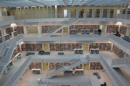 several people in library thumbnail