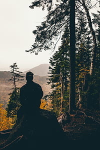 man sitting on stone beside tree thumbnail