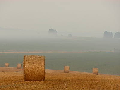 round brown hay bales on plains at daytime thumbnail