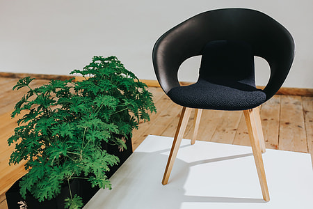 Various designer chairs and tables on an exhibition thumbnail