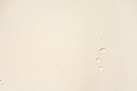 texture, sand, beach, monochrome thumbnail