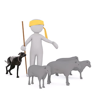 sheep and person illustration thumbnail
