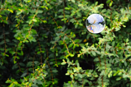selective focus photo of bubble thumbnail