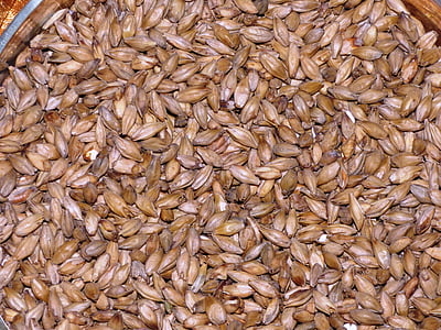 brown seeds thumbnail